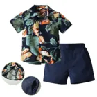 Комплект одежды Hawai для мальчиков, летняя рубашка с коротким рукавом + шорты, повседневный джентльменский костюм, Детские комплекты для маленьких мальчиков, верхняя одежда для мальчиков
