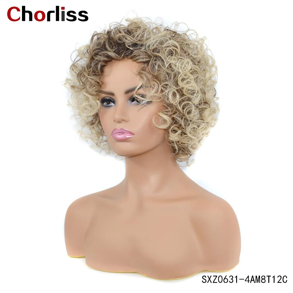 

Short Afro Kinky Curly Wigs Synthetic Hair Wigs For Black Women High Temperature Fiber Fashion Cosplay Daily Wigs