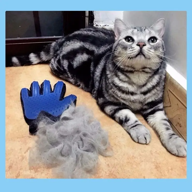 

1 Pair Cat Grooming Glove for Cats Wool Glove Pet Hair Deshedding Brush Comb Glove For Pet Dog Cleaning Massage Glove For Animal
