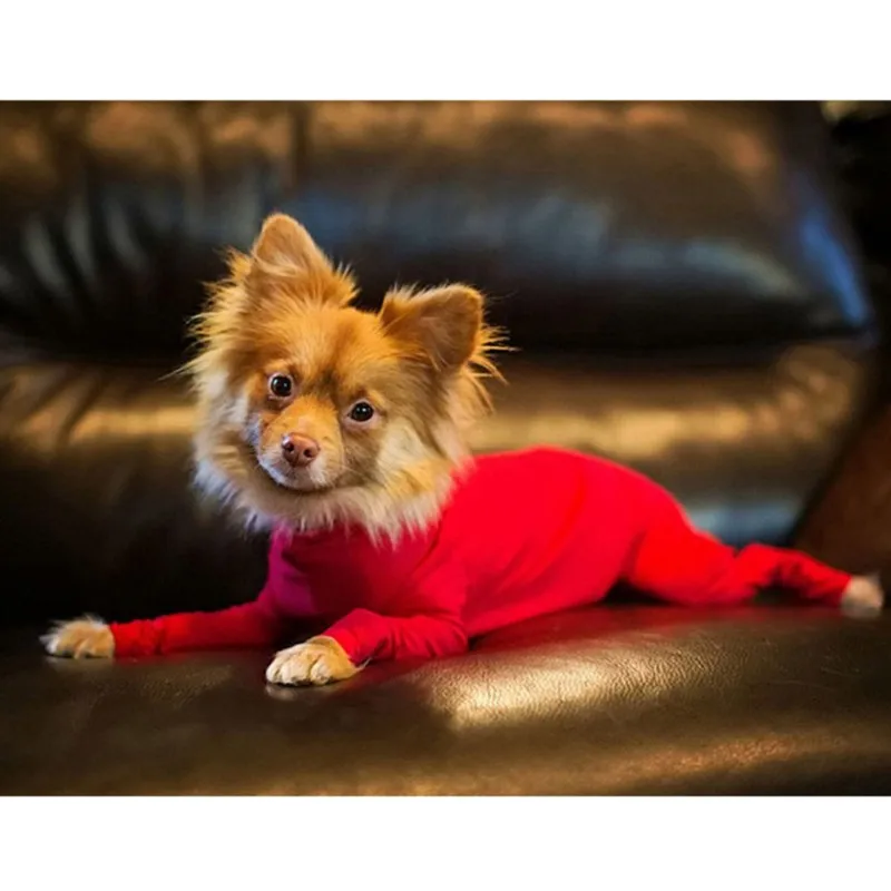 Post Operative Protection Long Sleeves Bodysuit Jumpsuit For Dogs Collar Alternative For Recovery