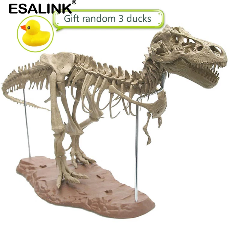 ESALINK динозавр Юрского периода ископаемый образец Сращивание сборка модель