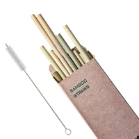 12pcsset natural reusable green bamboo straw eco friendly drinking straws hot drink with cleanning brush wedding accessories