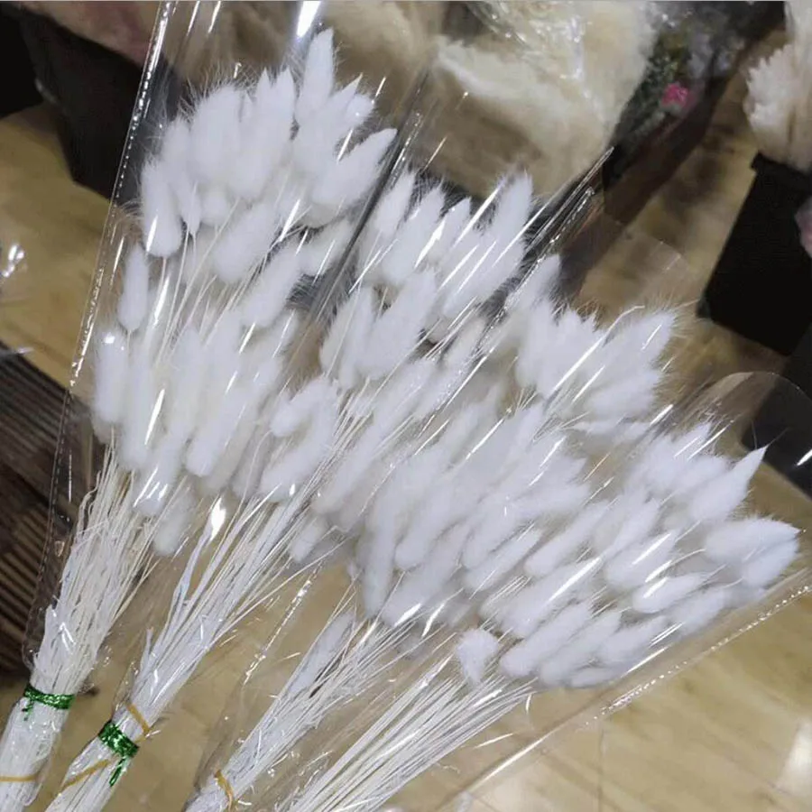 

5 Bundles 250pcs Dried White Bunny Tails Flowers Preserved Flower For Wedding Party Home Hotel Decoration DIY Bouquet Accessory