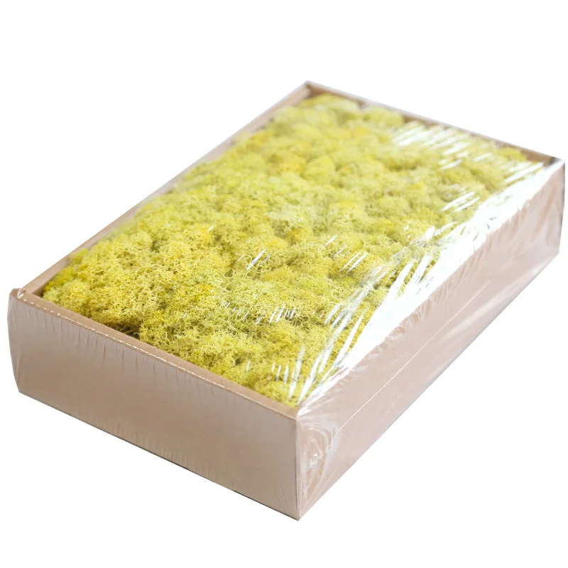 Yellow Green Искусственное растение вечная жизнь 200 г мох сад украшение дома стены DIY цветок материал Мини Сад Микро Ландшафтные аксессуары - Цвет: Yellow Green