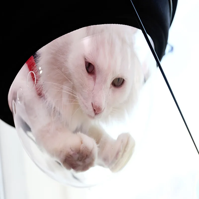 Принадлежности для домашних животных бесплатная доставка прямые продажи