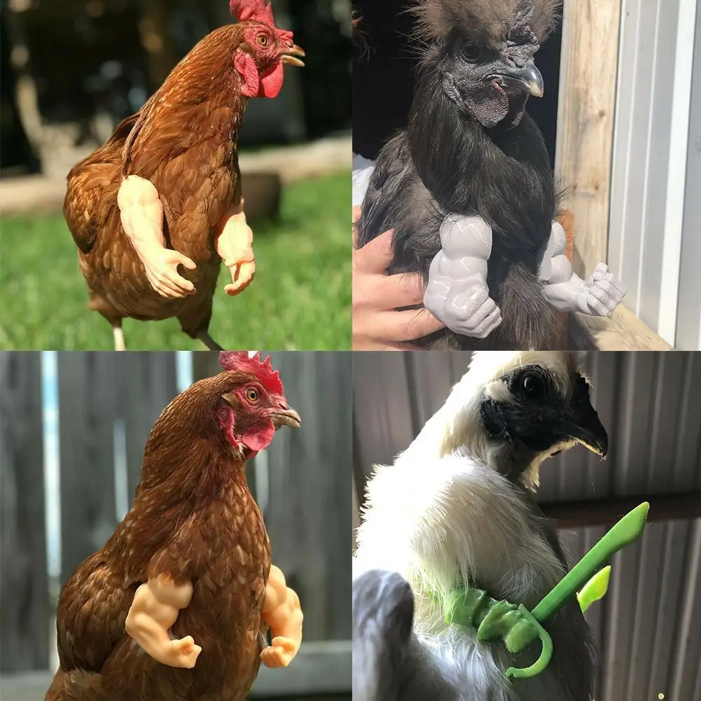 

Funny Chicken Strong Arms For Chicken To Wear Costume Arms Toy Decoration Pet Funny Products Habitat Decor