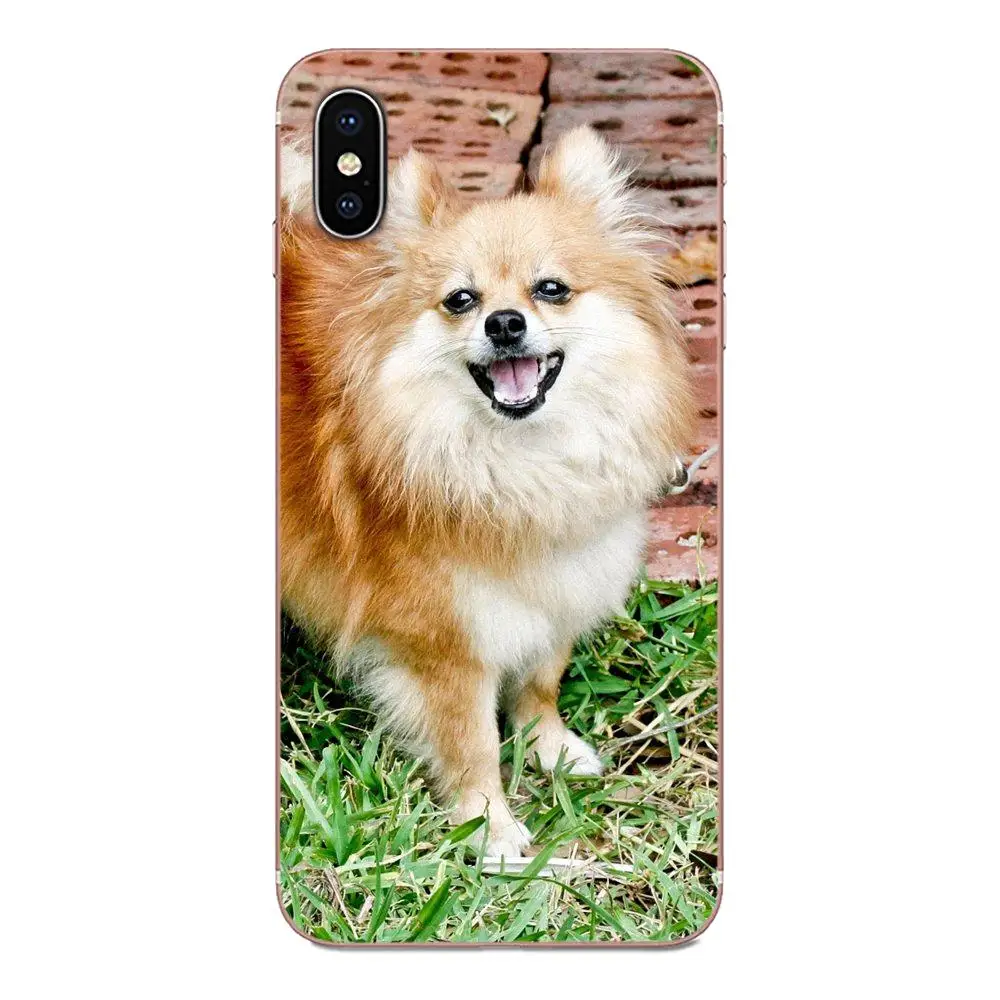 Чехлы для телефонов из ТПУ с забавными милыми Pomeranian Собаками Для Galaxy Grand A3 A5 A7 A8 A9