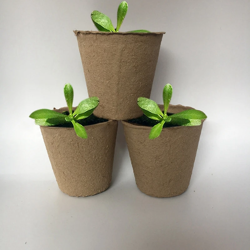 100 шт. биоразлагаемые Целлюлозные горшки для рассада растений растительный