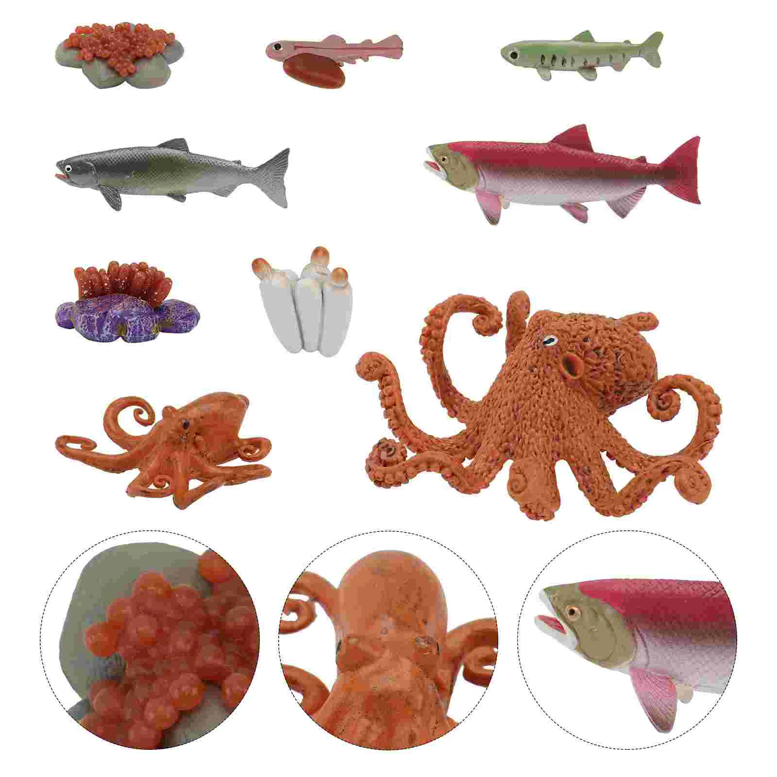 

2 Sets Imitation Animal Life Growth Cycle Models Animals Growth Model