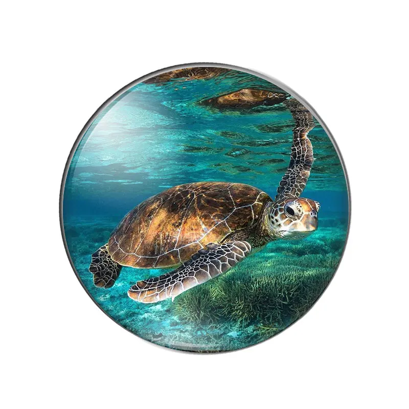 Новинка рыба морская звезда черепаха лошадь 10 шт. 8 мм/10 мм 1 2 мм/18 мм/20 мм/25 круглые