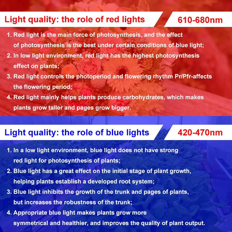 

2835 LED Grow Lamp Full Spectrum Plants Seedlings Flower Greenhouses Hydroponic Garden Plants Growing Plant Light Strip Set