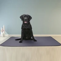 reusable waterproof dog pet diaper mat urine absorbent protect diaper mat training pad dog car seat cover pet supplies