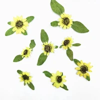 100pcs pressed dried flower mini sunflower plant herbarium for jewelry postcard invitation card phone case bookmark diy
