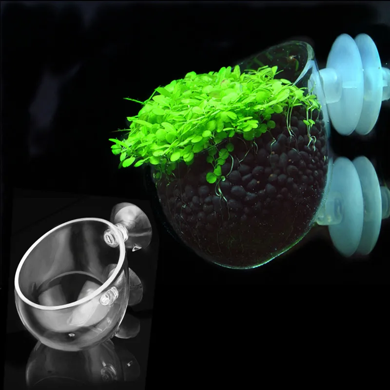 

Мини хрустальный стеклянный аквариумный травяной коралловый горшок для посадки украшение для аквариума водное растение мох горшечный цил...