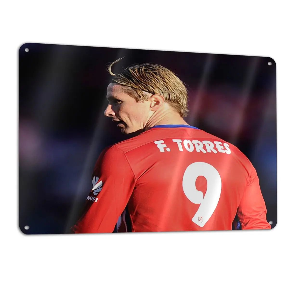 

Металлическая табличка Торрес Фернандо 1091, домашний Настенный декор для бара, знаки, дверное украшение, украшение для внутреннего дворика, ...