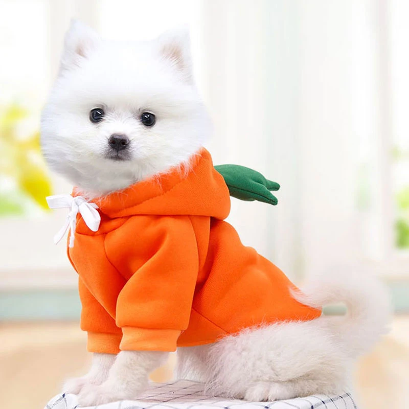 

Fashion Sweet Dog Hooded Sweater Lovely Fruit Shaped Christmas Dog Costum for Chihuahua Yorkies Soft Pet Clothes Dog Accessory