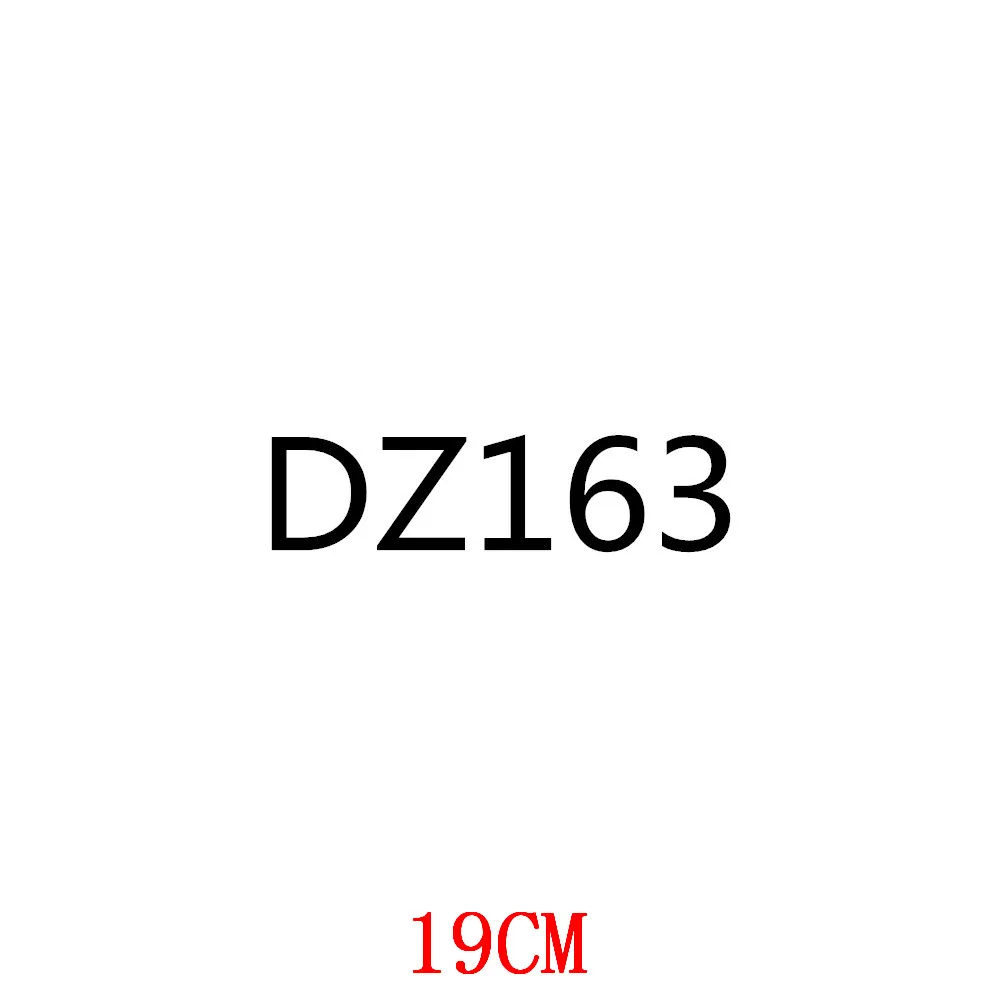

DZ163-19