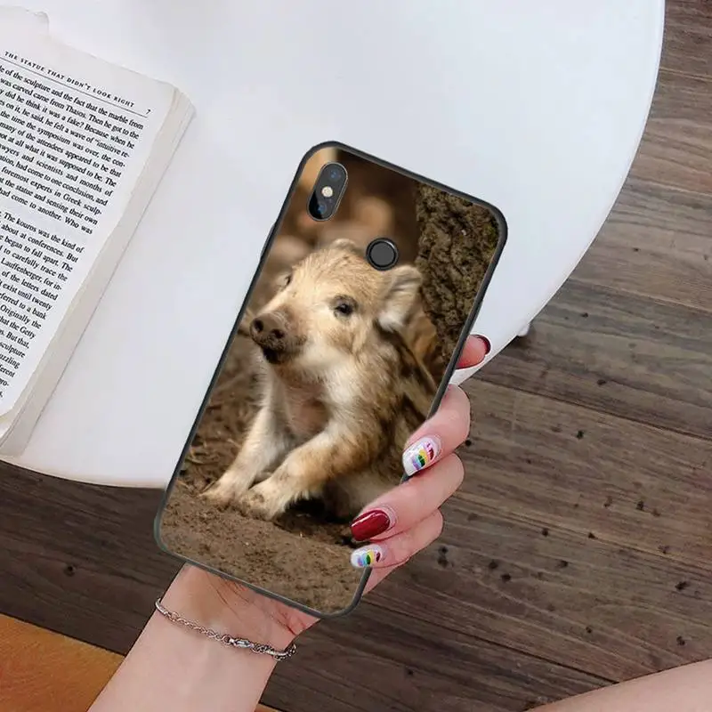 

wild boar Phone Case For Xiaomi Redmi note 7 8 9 t k30 max3 9 s 10 pro lite