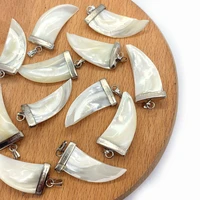 5pcspack chili shape natural sea shell with rhinestone pendant charms 16x5mm size white color diy for making necklace earrings