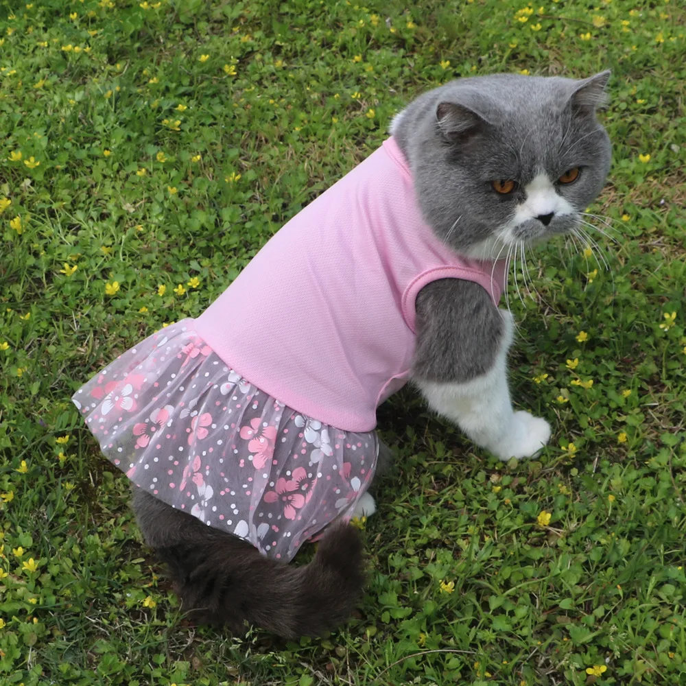 

2021 new dog clothes pet for small dogs Clothing cats dress Summer pets Puppy dresses costume spring yorkies Mesh skirt cute and