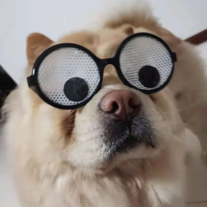 1 шт. поп модный Pet очки собака игрушки подходит для больших собак аксессуары