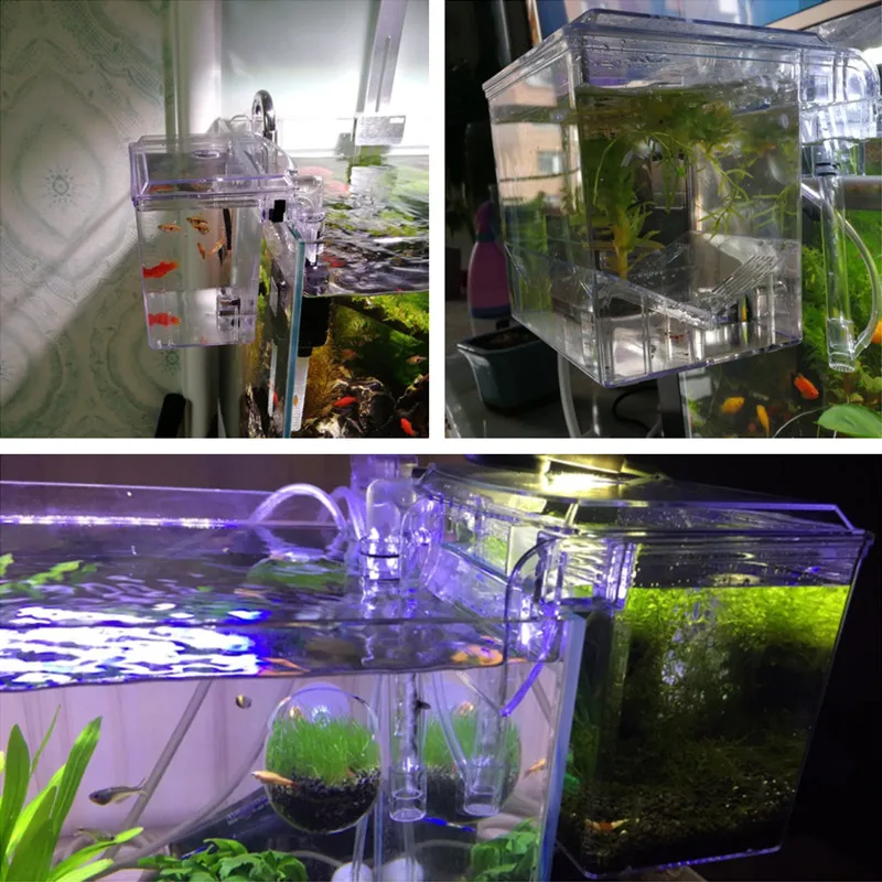 

Acrylic External Hanging Aquarium Breeding Isolation Box Mini Fish Tank Hatchery Incubator House for Small Fish Shrimp