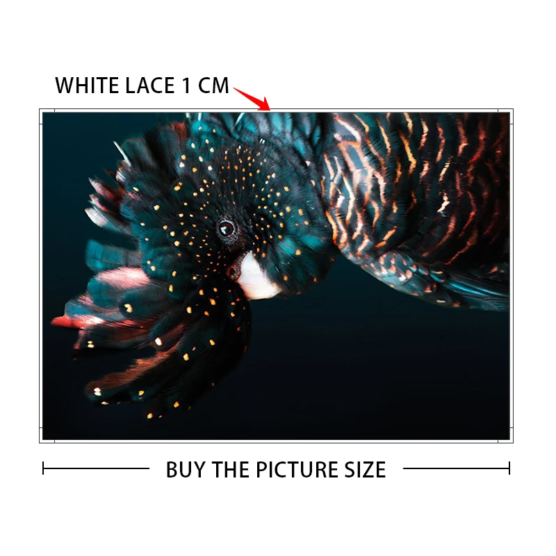

Canvas Print Painting Wall Art Cockatoo Animal Posters Nordic Style Modern Room Picture Painting Living Room Home Decoration