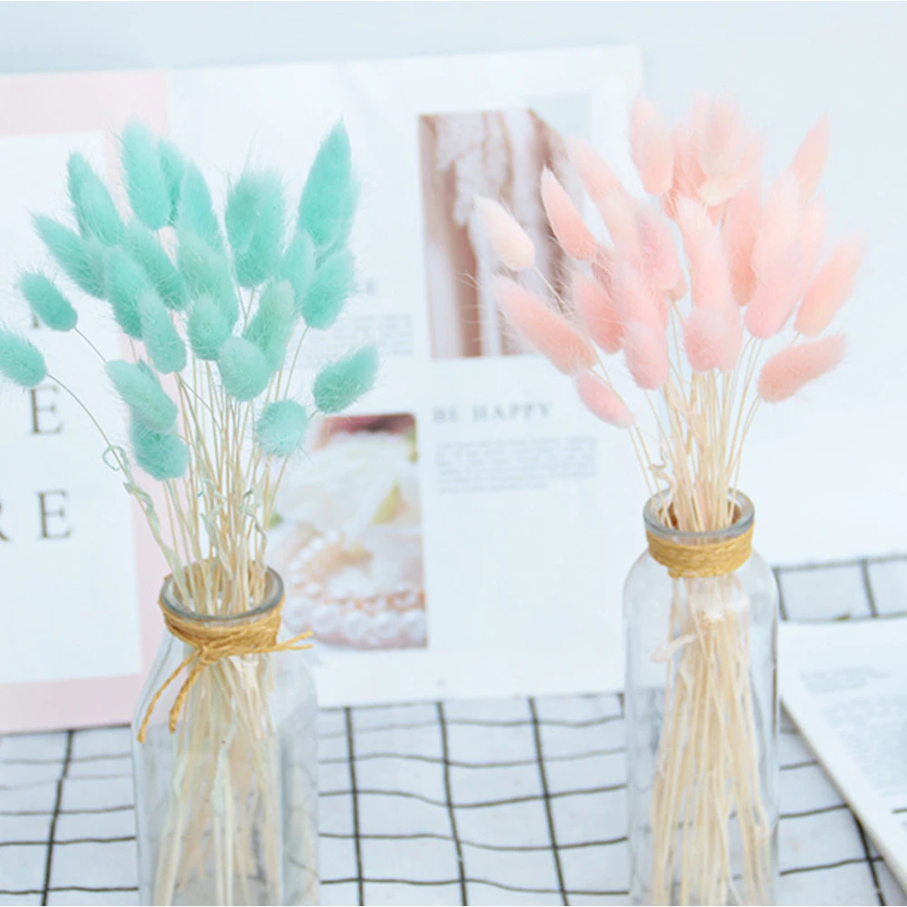 

Soft Rabbit Hair Grasses Natural Dried Flowers For Home Decoration Flower Arrangement Wedding Decoration Real Flower Grass Props