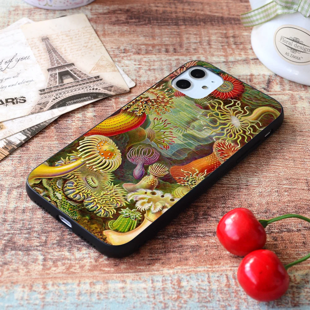 

For iPhone Sea anemone - Ernst Haeckel Soft TPU Border Apple iPhone Case