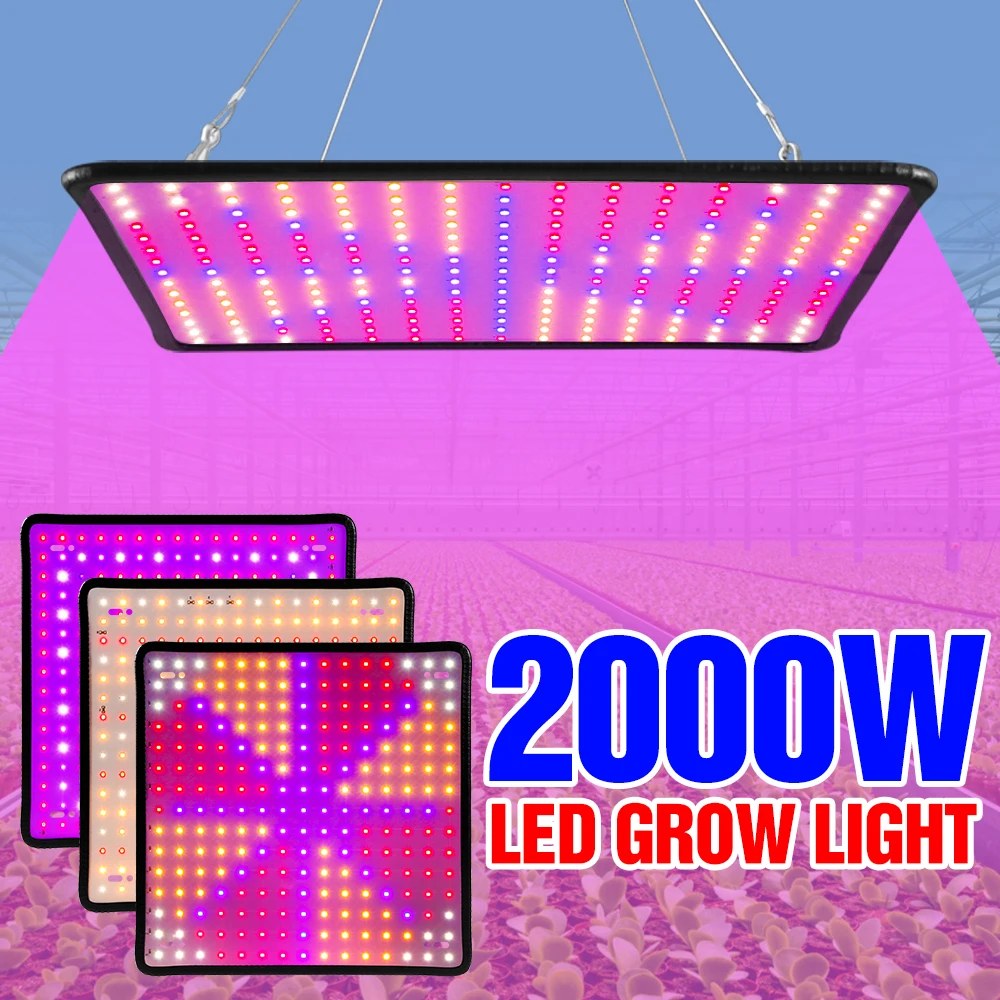 

2000W Indoor Lighting Phyto Lamp LED Grow Light Plant Seeds Bulb 220V Hydroponic Lampara LED Panel Bombilla Greenhouse Grow Tent