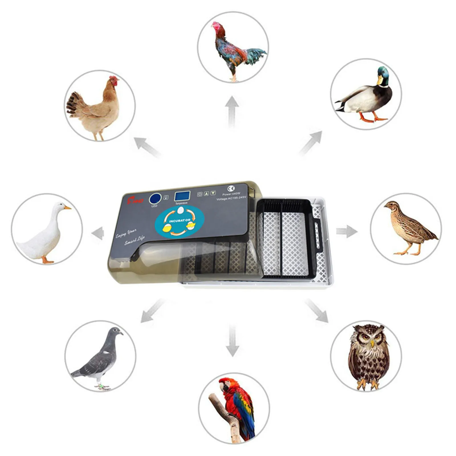 Behogar Intelligent Digital Incubator Machine Adjustable Egg Tray Auto Turn Poultry Hatcher for Chickens Ducks Goose Birds Eggs
