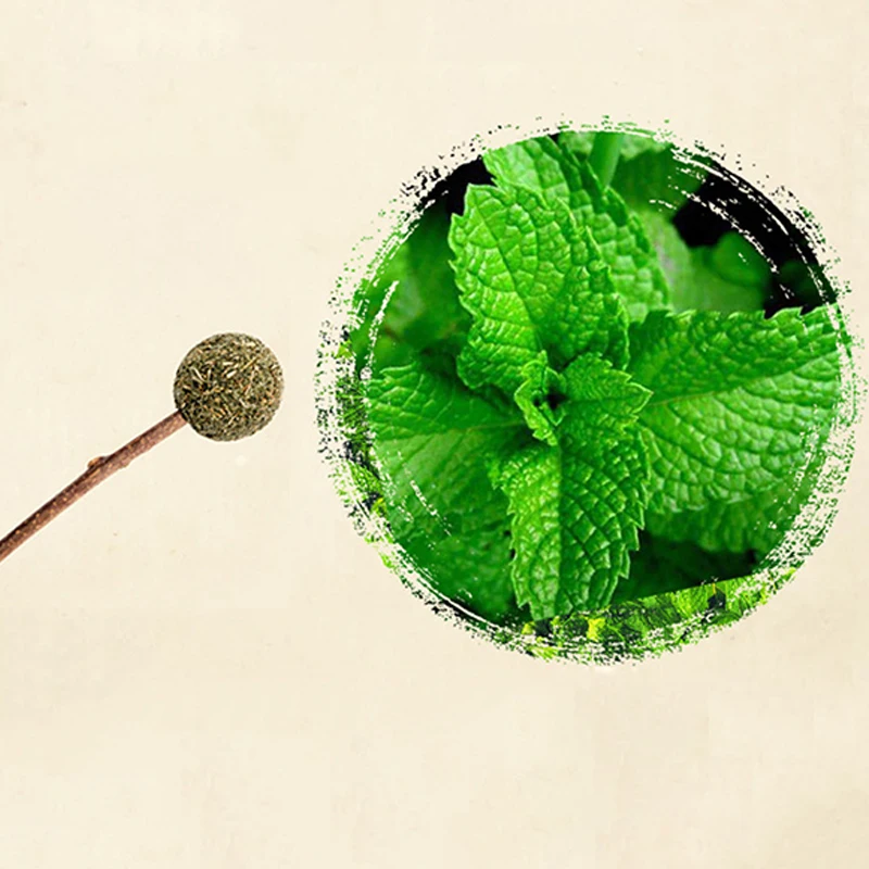 

Cat Snacks Sticks Pet Cleaning Teeth Catnip Cat Toy Bell Lollipop Silvervine Stick Cat Teething Toy Catnip Treat Ball for Cats