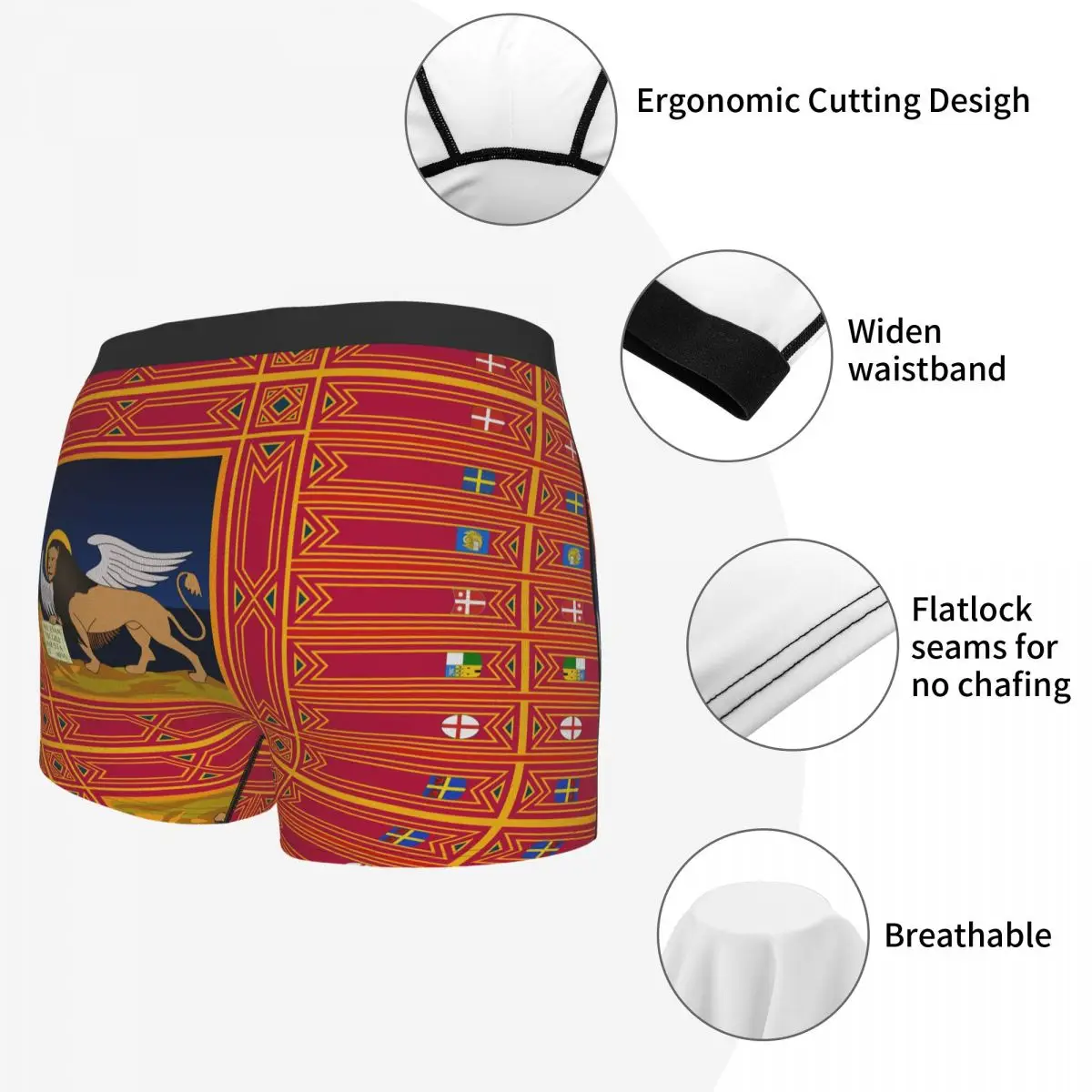 Flag Of Veneto Men's Boxer Briefs regions of Italy Humor Graphic elastic pants for men