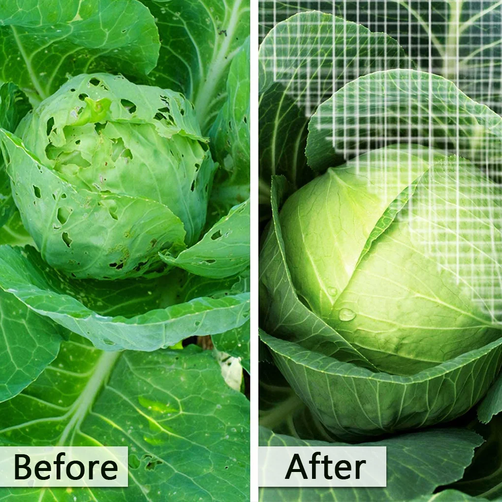 В виде садовых овощей сеткой цветочных растений Уход Защита сети птица насекомых