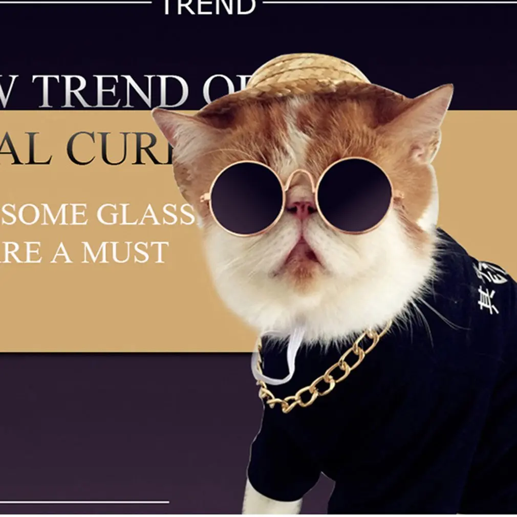 

Fashion Cat's Glasses Durable Glasses Cat's Grooming Dogs Sunglasses Cool Glasses Universal Pet Supplies protecting Pets' Eyes