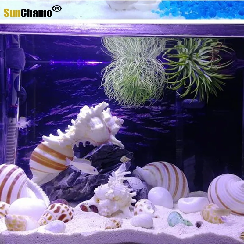 

DIY Wishes Lucky Drifting Bottle Rolled Shellfish Hermit Crab Ornaments Mediterranean Sea Snail Nordic Shells Starfishes Crafts