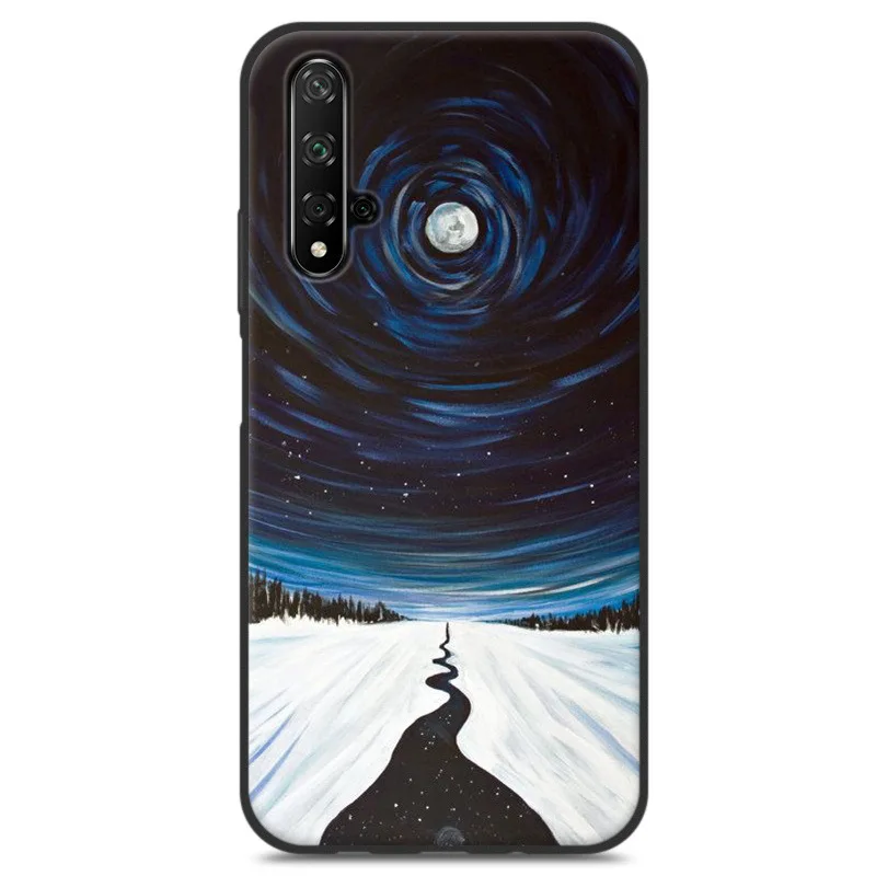 Для huawei Nova 5T чехол 3D рельефная живопись ТПУ Мягкая задняя крышка чехол мультфильм силиконовая защитная оболочка для huawei Nova 5T# KO - Цвет: Оранжевый