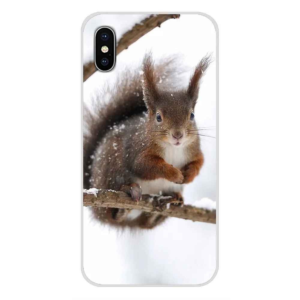 For LG G3 G4 Mini G5 G6 G7 Q6 Q7 Q8 Q9 V10 V20 V30 X Power 2 3 K10 K4 K8 2017 Case Cover squirrel Guinea Pig Mouse peanut greedy | Мобильные