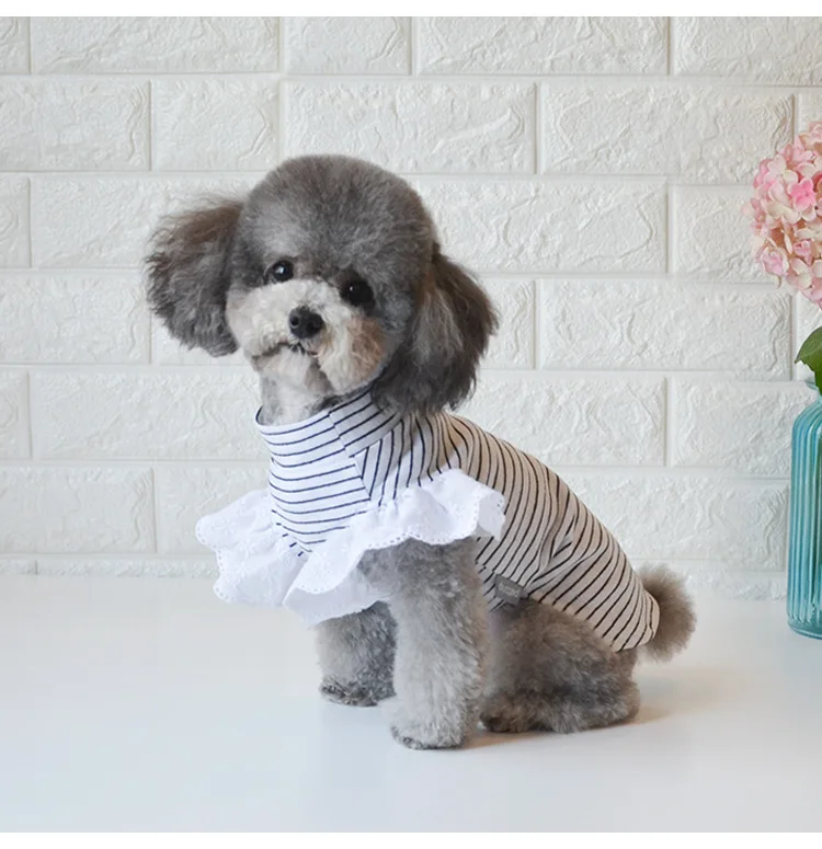 Dog Clothes Newest Spring and Summer Vests Pet Small Bottoming T-shirts |