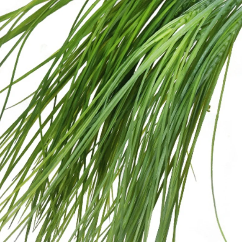 

3PCS Simulation Plant Spring Grass Leek Leaf Plant Wall Bunch Project Arrangement Flower Arrangement Leaf Material