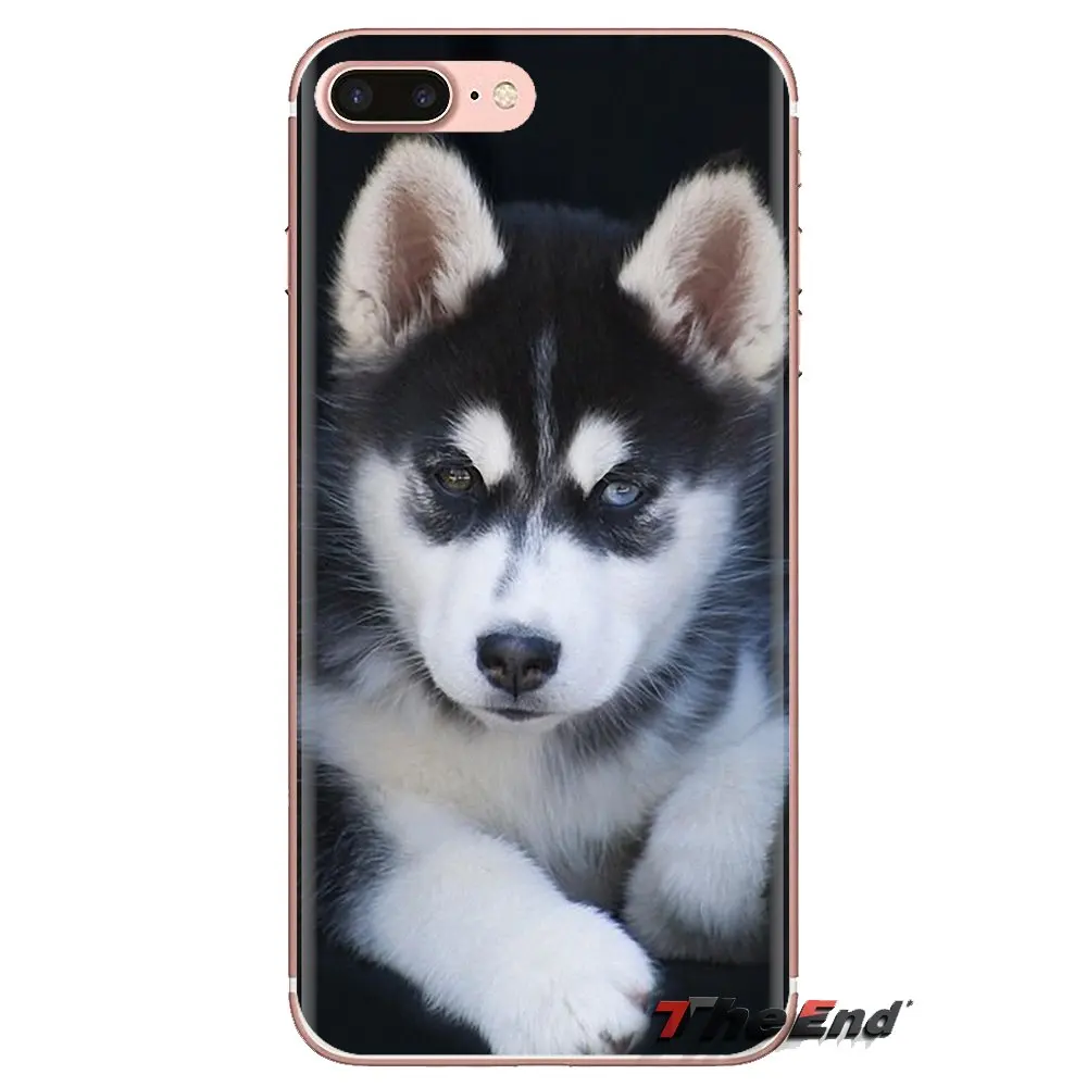 For Huawei P Smart Y6 P8 P9 P10 Plus Nova P20 Lite Pro Mini 2017 SLA-L02 SLA-L22 2i Transparent TPU Cases Covers husky puppy dog |
