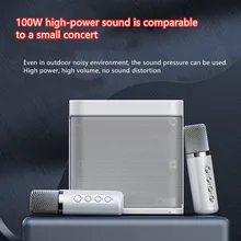 100W YS-203 portable professional karaoke dual microphone bluetooth speaker smart external karaoke device
