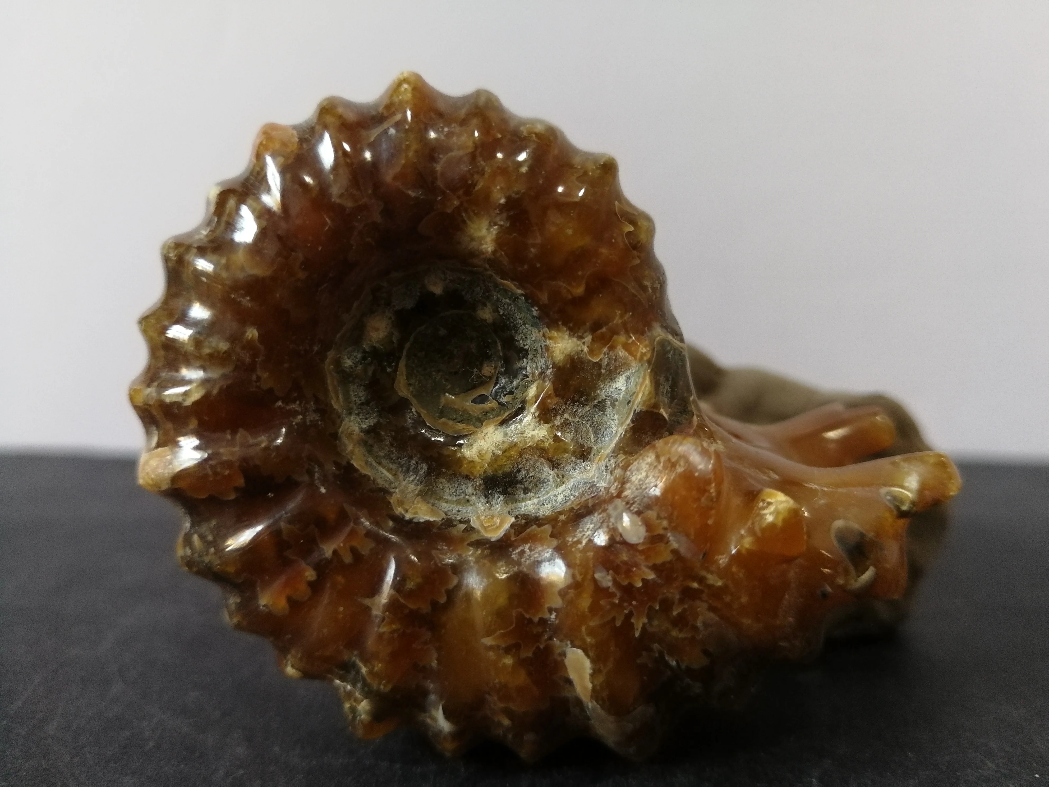 88.6gNatural ammonite crystal quartz specimen energy healing | Дом и сад