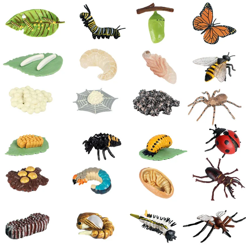 

New Simulation Animal Insect Growth Cycle Spider Bee Butterfly Growth Cycle Model Mini Insect Model Kids Cognitive Toys Gifts