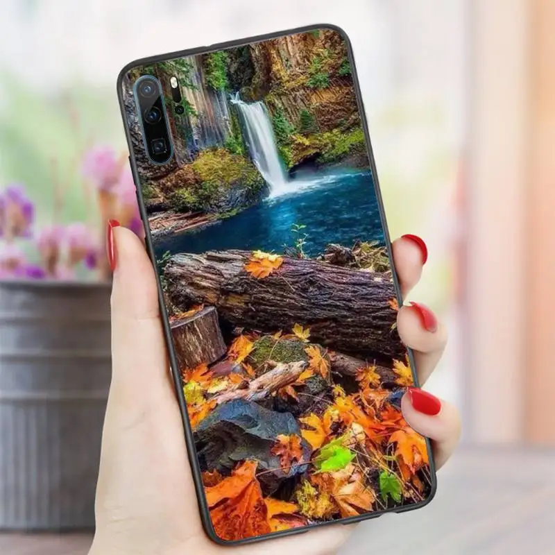 

Fall foliage season art pattern high quality Phone Case For Huawei honor Mate P 10 20 30 40 i 9 8 pro x Lite smart 2019 nova 5t