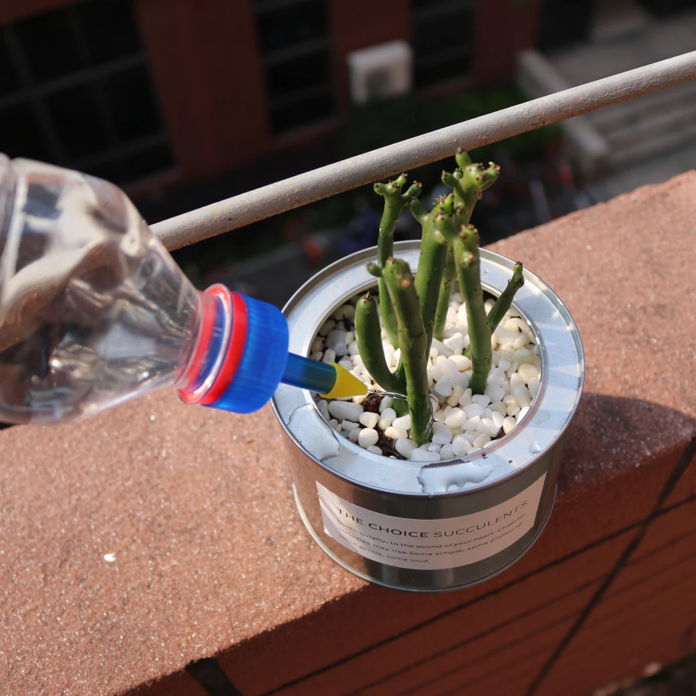 Портативный разбрызгиватель крышки бутылки насадка для суккулентов горшечных