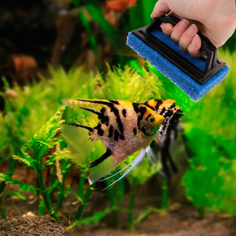 2020 новая аквариумная щетка аквариум с одной ручкой для очистки водорослей