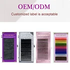 Индивидуальные Накладные ресницы с логотипом сделай сам, Индивидуальные Накладные ресницы с индивидуальным логотипом и именем, накладные ресницы ODM OEM, произвольный Размер, Настраиваемые ресницы