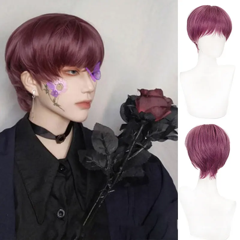 AOOSOO Men's Synthetic Wig With Bangs Short Heat-Resistant Wig Powder Purple Natural Straight Hair Cosplay Black and White C