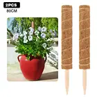 60 80 см; Можно носить в мох тотемного столба вьющиеся растения Поддержка восхождение удлинитель комнатные растения цветочный горшок держатель Садовые принадлежности
